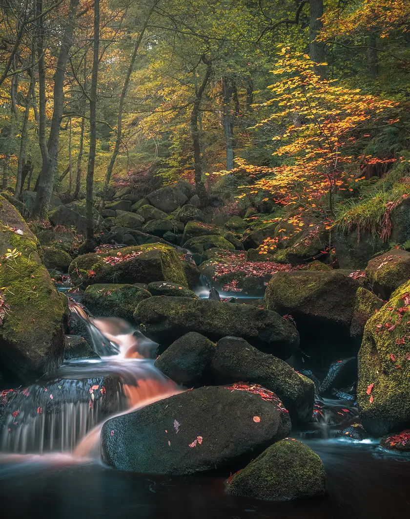 Life in the Peaks